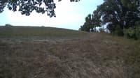 The field cam, Sep 9, 2023 at 9:02am