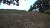 The field cam, Sep 9, 2023 at 9:04am