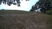 The field cam, Sep 9, 2023 at 9:04am