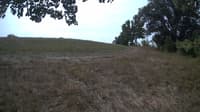 The field cam, Sep 9, 2023 at 9:21am
