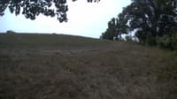 The field cam, Sep 9, 2023 at 9:26am