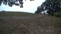 The field cam, Sep 9, 2023 at 9:28am