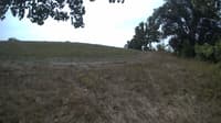 The field cam, Sep 9, 2023 at 9:55am