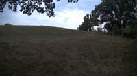 The field cam, Sep 9, 2023 at 11:42am