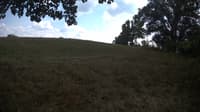 The field cam, Sep 10, 2023 at 12:35pm