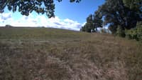 The field cam, Sep 13, 2023 at 8:20am