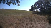 The field cam, Sep 14, 2023 at 12:17pm