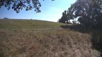 The field cam, Sep 14, 2023 at 12:30pm