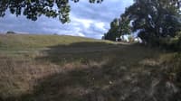 The field cam, Sep 17, 2023 at 1:33pm