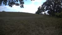 The field cam, Sep 20, 2023 at 11:30am