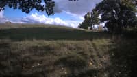 The field cam, Sep 27, 2023 at 2:28pm