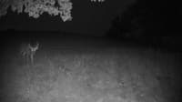 The field cam, Sep 28, 2023 at 4:20am