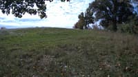 The field cam, Oct 8, 2023 at 8:21am