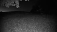 The field cam, Oct 9, 2023 at 4:26am