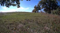 The field cam, Oct 9, 2023 at 8:47am