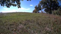 The field cam, Oct 9, 2023 at 8:48am
