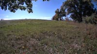 The field cam, Oct 9, 2023 at 9:15am