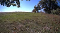 The field cam, Oct 9, 2023 at 9:22am