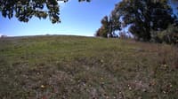 The field cam, Oct 9, 2023 at 9:40am