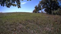 The field cam, Oct 9, 2023 at 9:46am