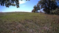 The field cam, Oct 9, 2023 at 9:53am