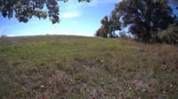 The field cam, Oct 9, 2023 at 10:00am
