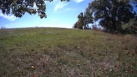 The field cam, Oct 9, 2023 at 10:15am