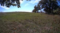 The field cam, Oct 9, 2023 at 10:20am