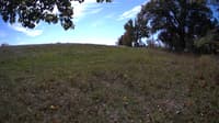 The field cam, Oct 9, 2023 at 10:25am