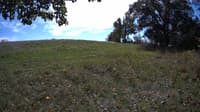 The field cam, Oct 9, 2023 at 11:10am