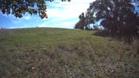 The field cam, Oct 9, 2023 at 11:29am