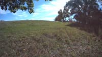 The field cam, Oct 9, 2023 at 11:40am