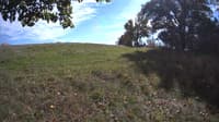 The field cam, Oct 9, 2023 at 12:09pm