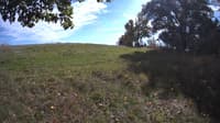 The field cam, Oct 9, 2023 at 12:13pm