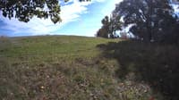 The field cam, Oct 9, 2023 at 12:15pm