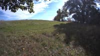 The field cam, Oct 9, 2023 at 12:16pm
