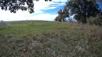 The field cam, Oct 10, 2023 at 9:00am