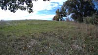 The field cam, Oct 10, 2023 at 9:01am
