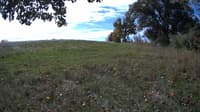 The field cam, Oct 10, 2023 at 9:02am