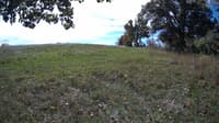 The field cam, Oct 10, 2023 at 9:59am
