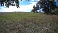 The field cam, Oct 10, 2023 at 10:12am