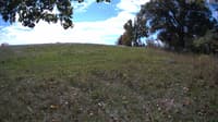 The field cam, Oct 10, 2023 at 10:13am