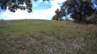The field cam, Oct 10, 2023 at 10:14am