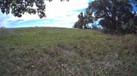 The field cam, Oct 10, 2023 at 10:46am