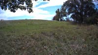 The field cam, Oct 10, 2023 at 11:02am