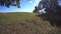 The field cam, Oct 10, 2023 at 12:00pm