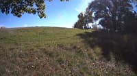 The field cam, Oct 10, 2023 at 12:08pm