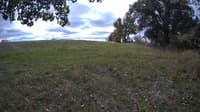 The field cam, Oct 11, 2023 at 10:34am