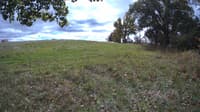 The field cam, Oct 11, 2023 at 11:05am