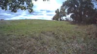 The field cam, Oct 11, 2023 at 11:06am